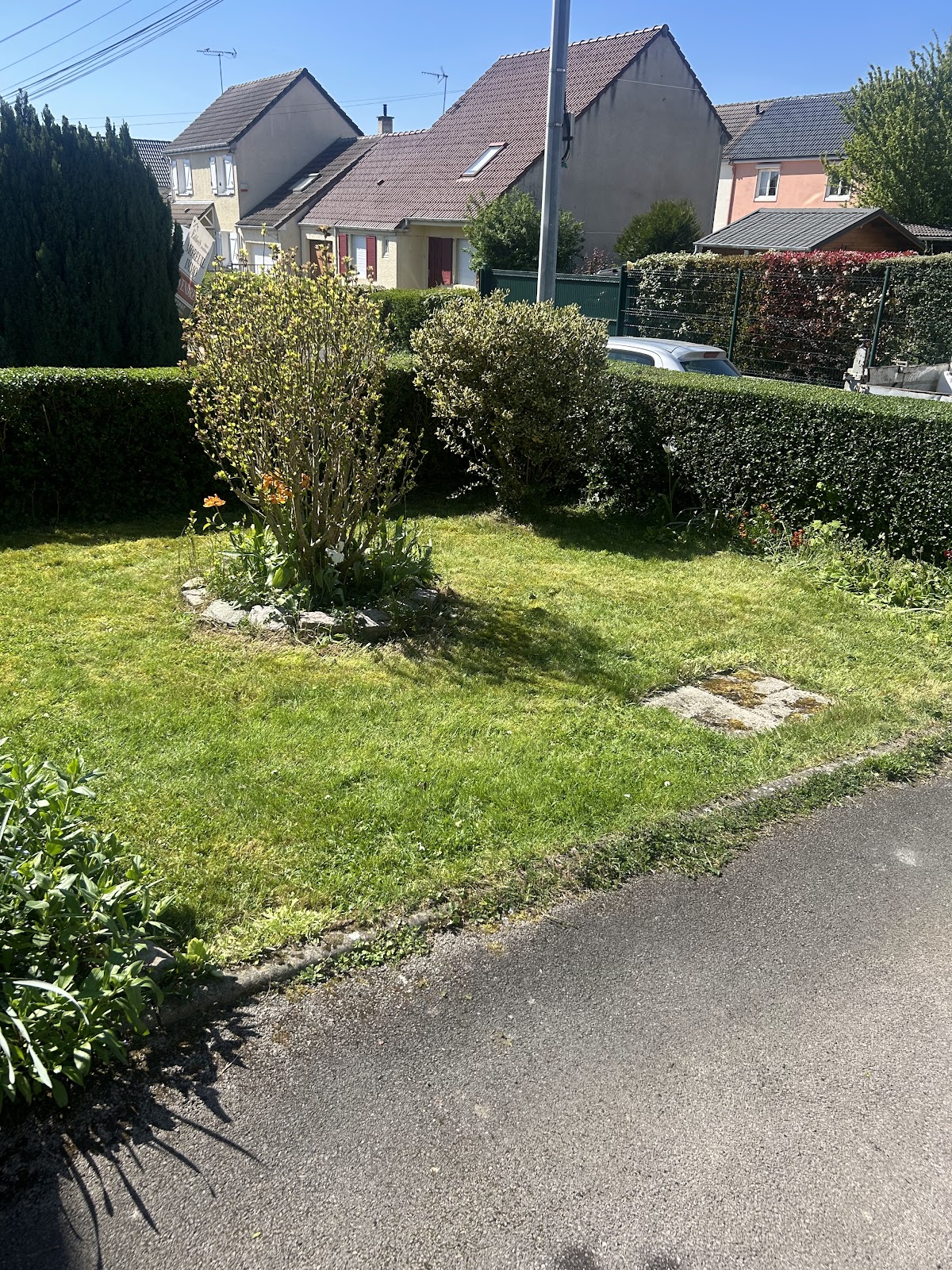 Réalisation paysagiste Amiens - élagage d'arbres